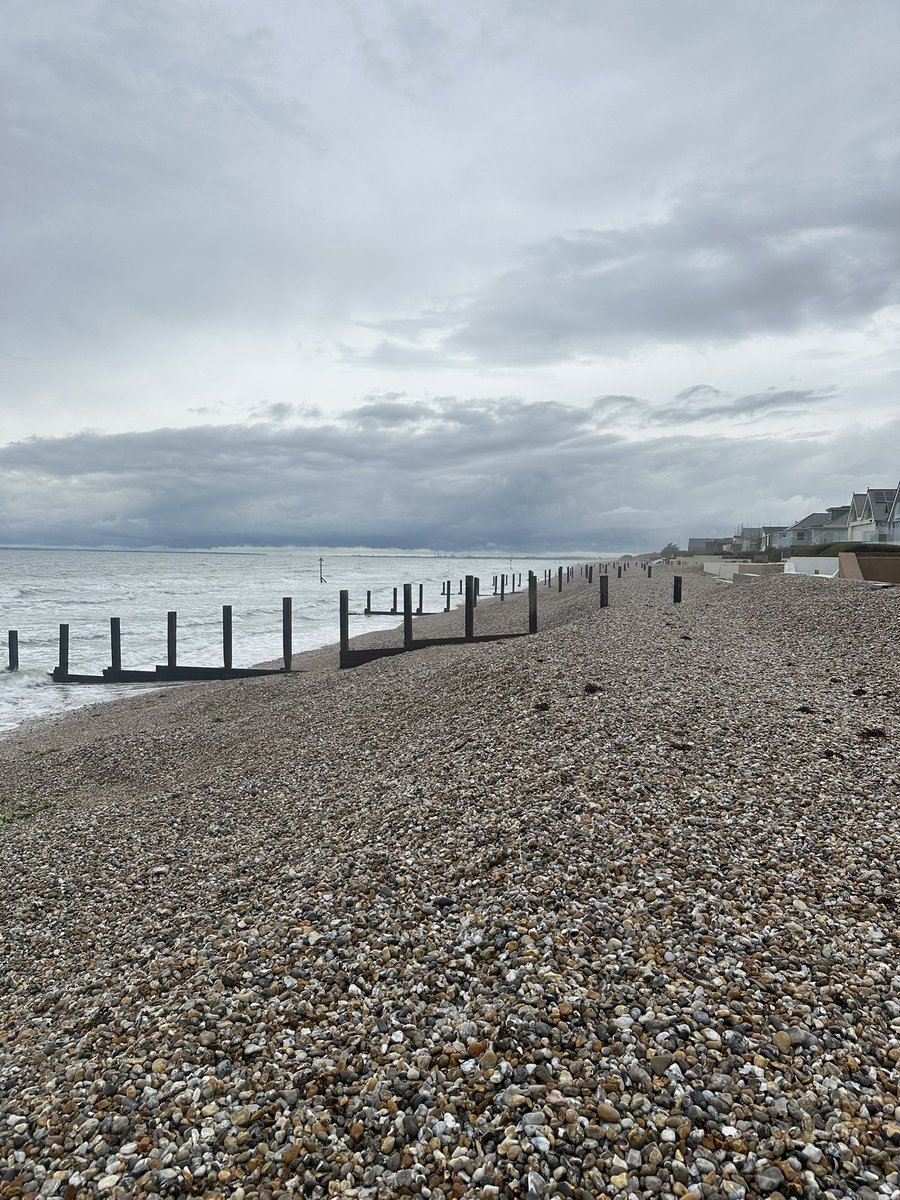 Absolutely top best favourite restaurant ever. Absolutely top best day ever. Hoomum is back from The Big Apple. Himself Hoosis Hoomum Me (Jack-Dog innit) and Rat-Dog went to the beach at East Wittering with lunch at Drifters. They have snossidges on the menu. We had two each.