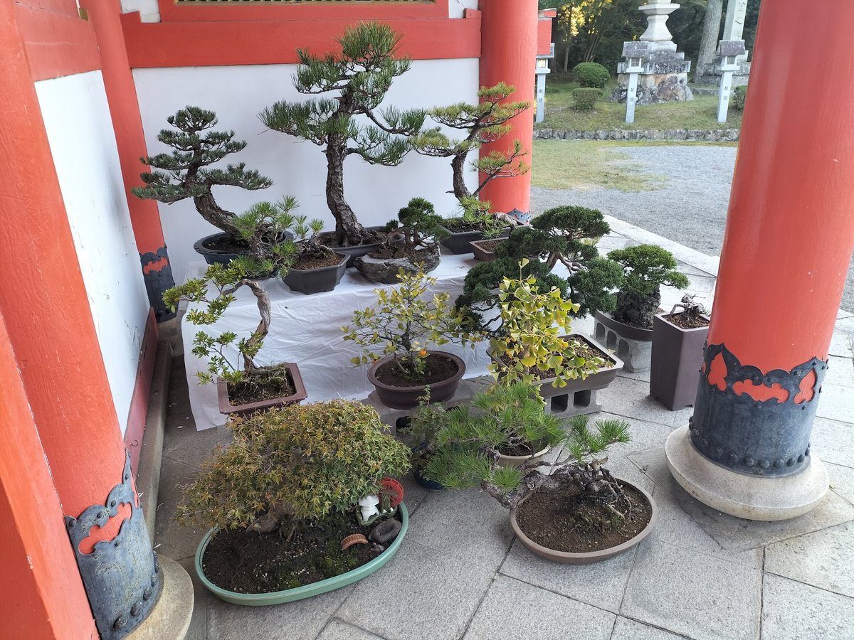 イモリ？どじょう？ 文鎮 イモリ？どじょう？ 文鎮 イモリ？どじょう