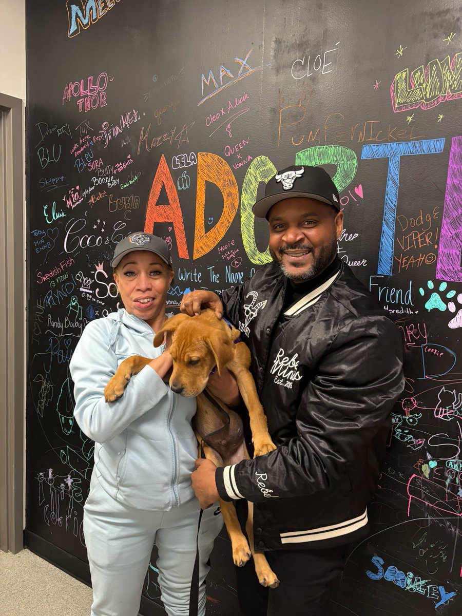 Anti-Cruelty tweet media