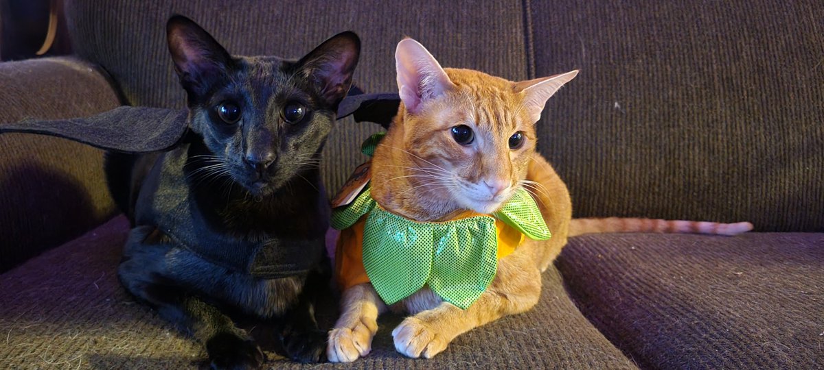The boys are ready for Halloween!! :3