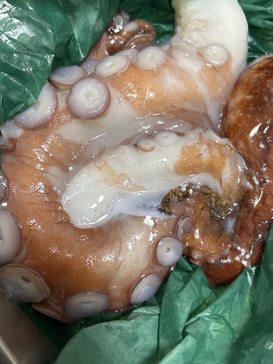 魚虎 うおとら on X