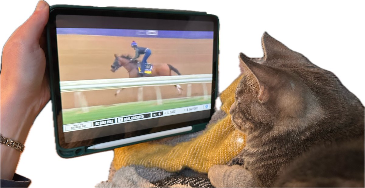 BestBetDesign's tweet image. Milo loves watching the horses!