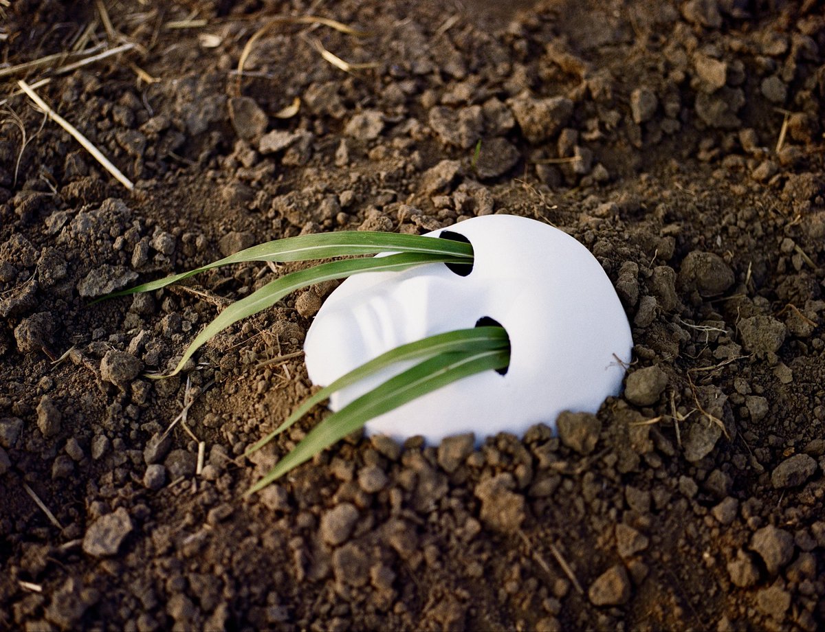 Andrew Reys (@andrewreysph) on Twitter photo the end and the beginning 
120 film photography the end and the beginning 
120 film photography