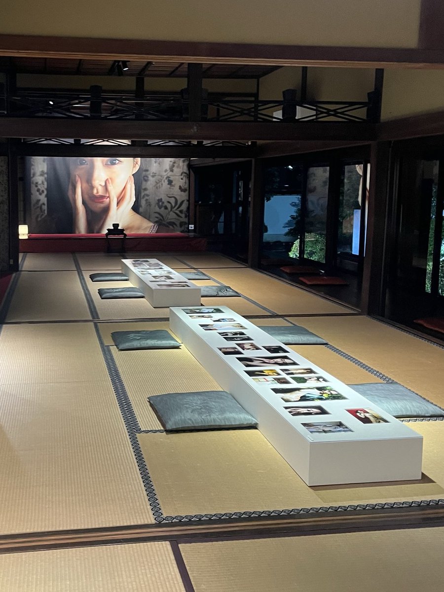 みい様 しーぃちゃん .. on X