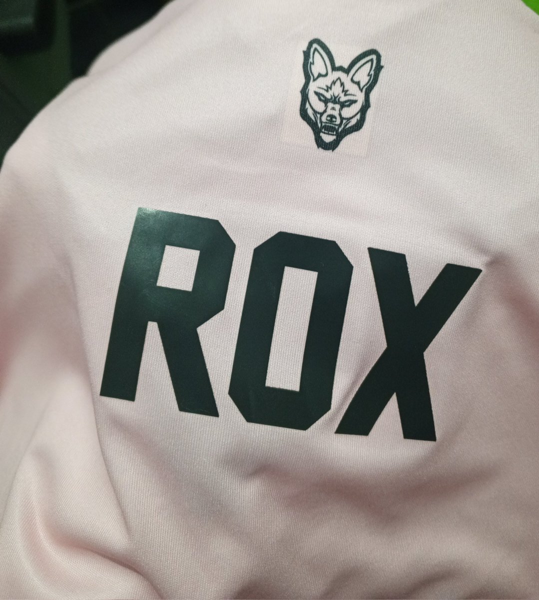 cbyrox's tweet photo. eu te amo demais  @REDCanids 😭😭😭
é minha primeira pink canids, depois de quase 8 anos acompanhando o time 😭😭🩷🩷🩷 https://t.co/HGxfyxMue9