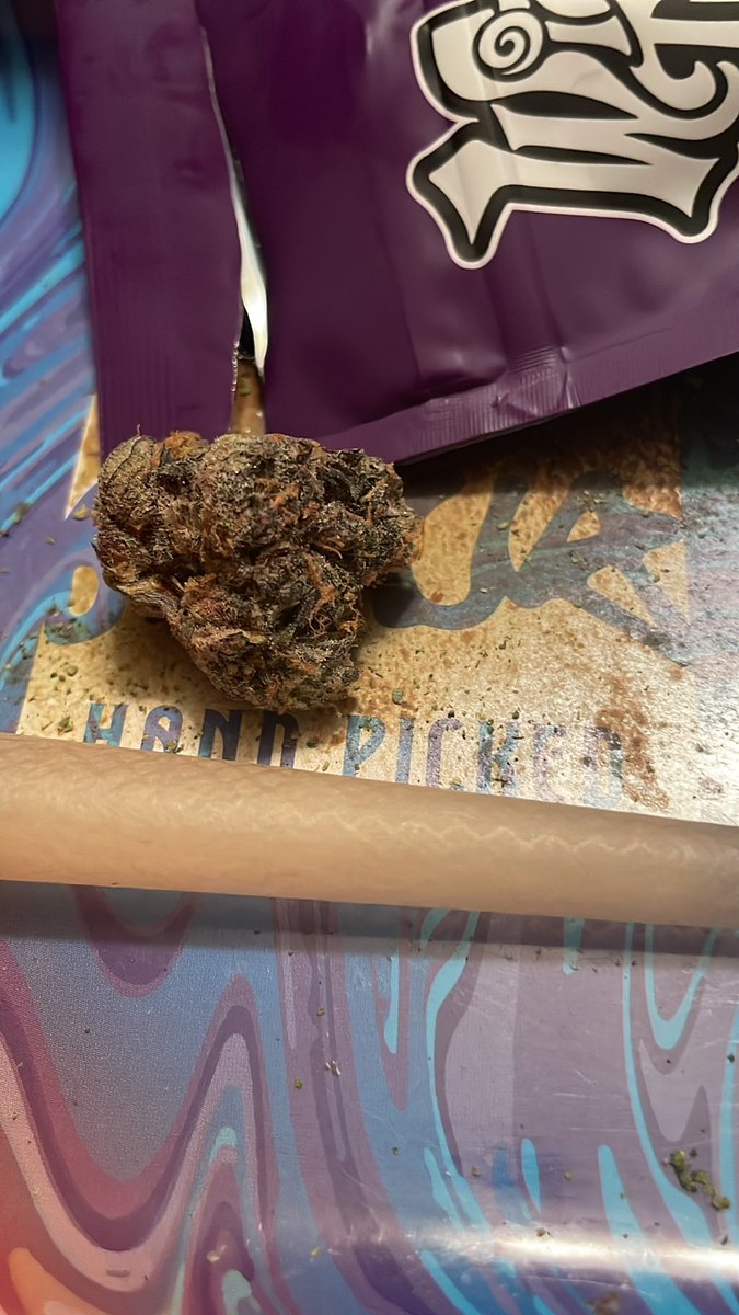 IceburghSlimm's tweet image. The Keeper is some tasty dank good job @wizard_trees 😶‍🌫️🔥💨🙌🏾🤟🏾🤙🏾