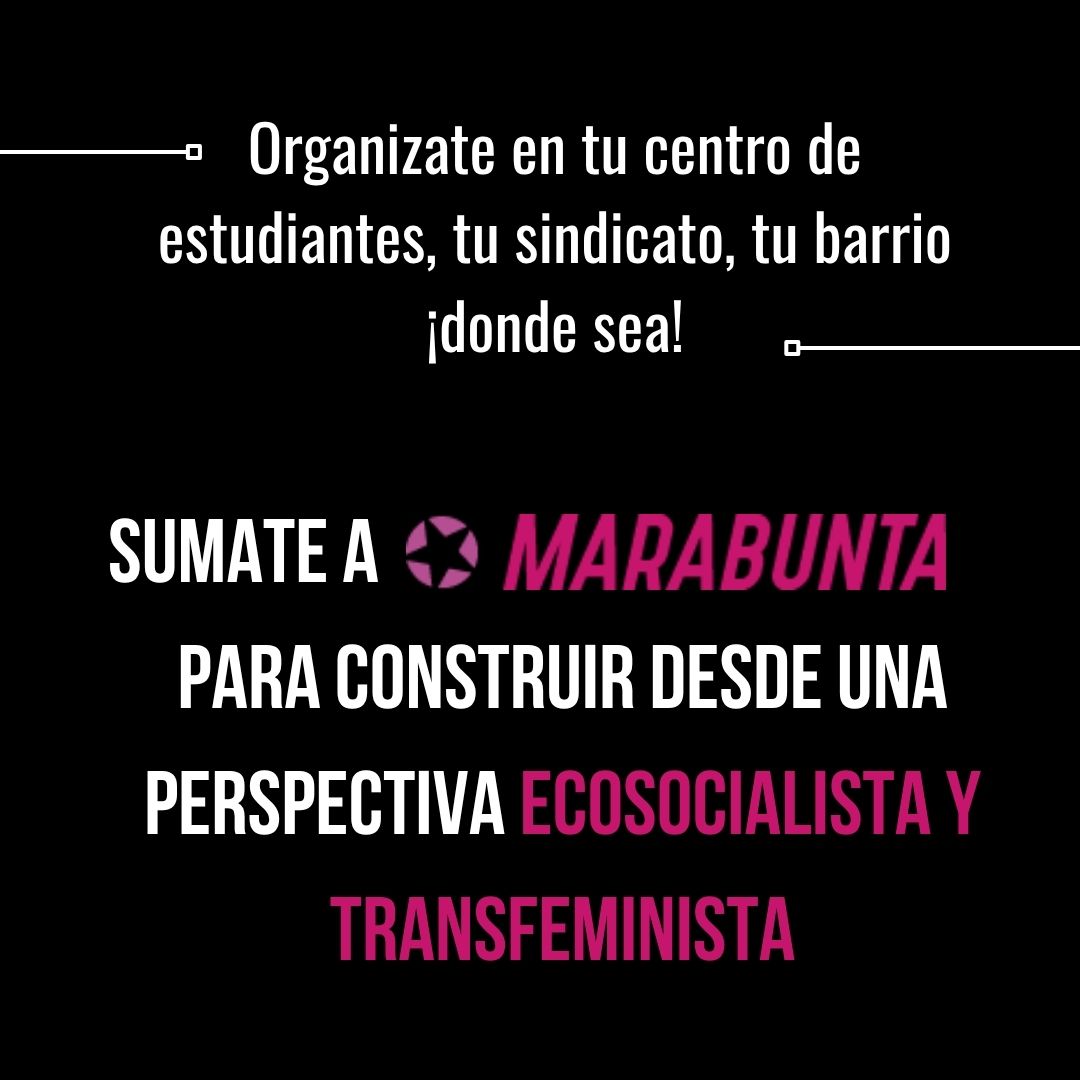 Mirá las placas. Podés leer la declaración completa en corrientemarabunta.org y dejanos tu comentario. Debatamos, articulemos y luchemos en unidad