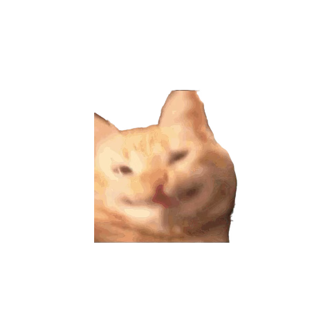 JoePhantom_'s tweet photo. @Fidget_Widget_1 @ChosenFateSMP $20 bucks and I’ll say what it is https://t.co/34068gKV0F