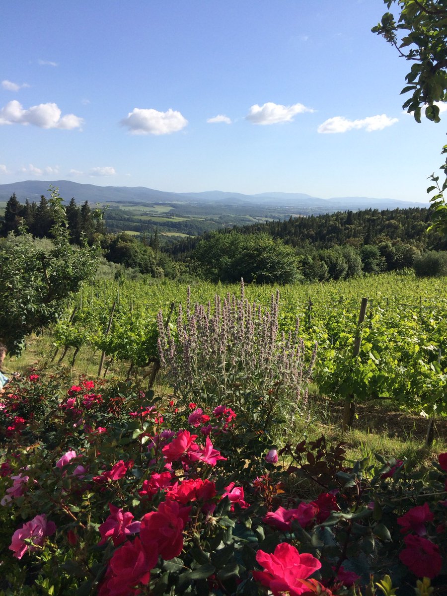 Elva L. Arista tweet media