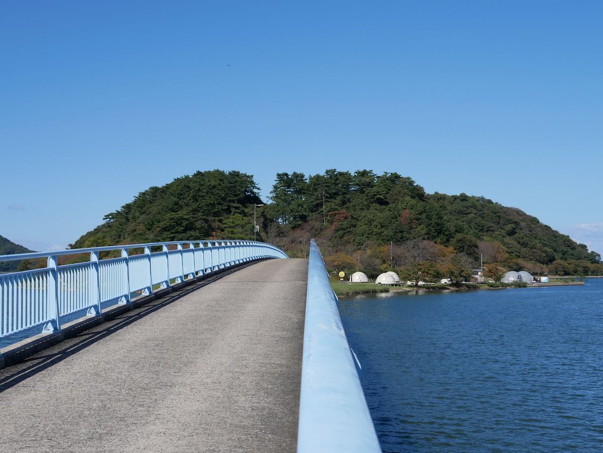 lc575able's tweet image. 昨日は晴れて気持ちの良い天気でした。鳥取市湖山池の青島に行ってきました。

手前が湖山池、奥は日本海、右手は鳥取空港です。

野の花にミツバチが止まっています。

デジカメはLumix GX-7mk II、フィルムカメラはOlympus Pen-FTです。
#Lumix  #Olympus #湖山池