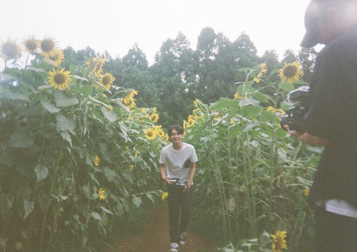 junsaito_staff's tweet photo. 映画『ストロベリームーン 余命半年の恋』主題歌ORANGE RANGEさんの「トワノヒカリ」Music Videoフィルムカメラオフショット📸 https://t.co/yZPiy8d9OG