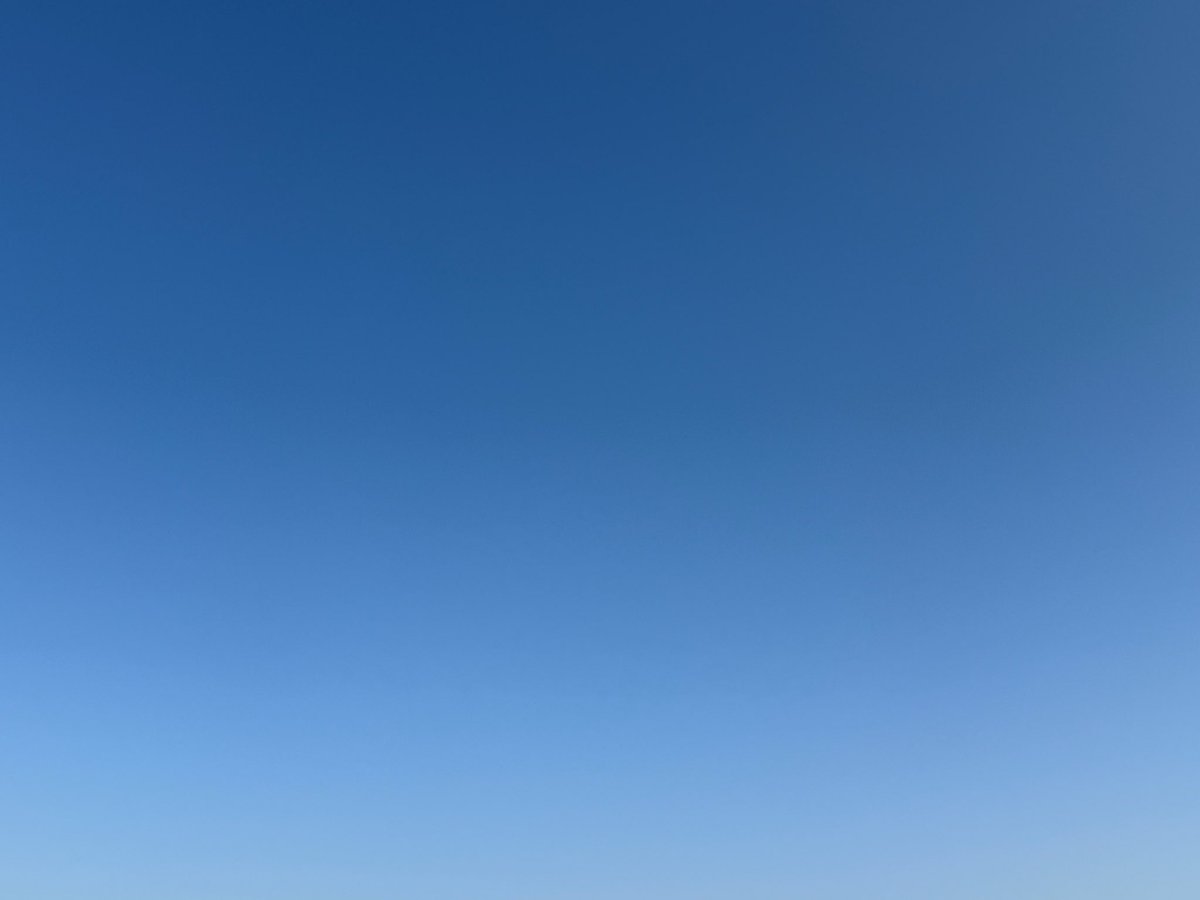 wakeari23's tweet photo. おはようございます🌞

雲ひとつない晴天ですが、寒いです
車内で日向ぼっこが心地良い☺️ https://t.co/038cmvZhUJ