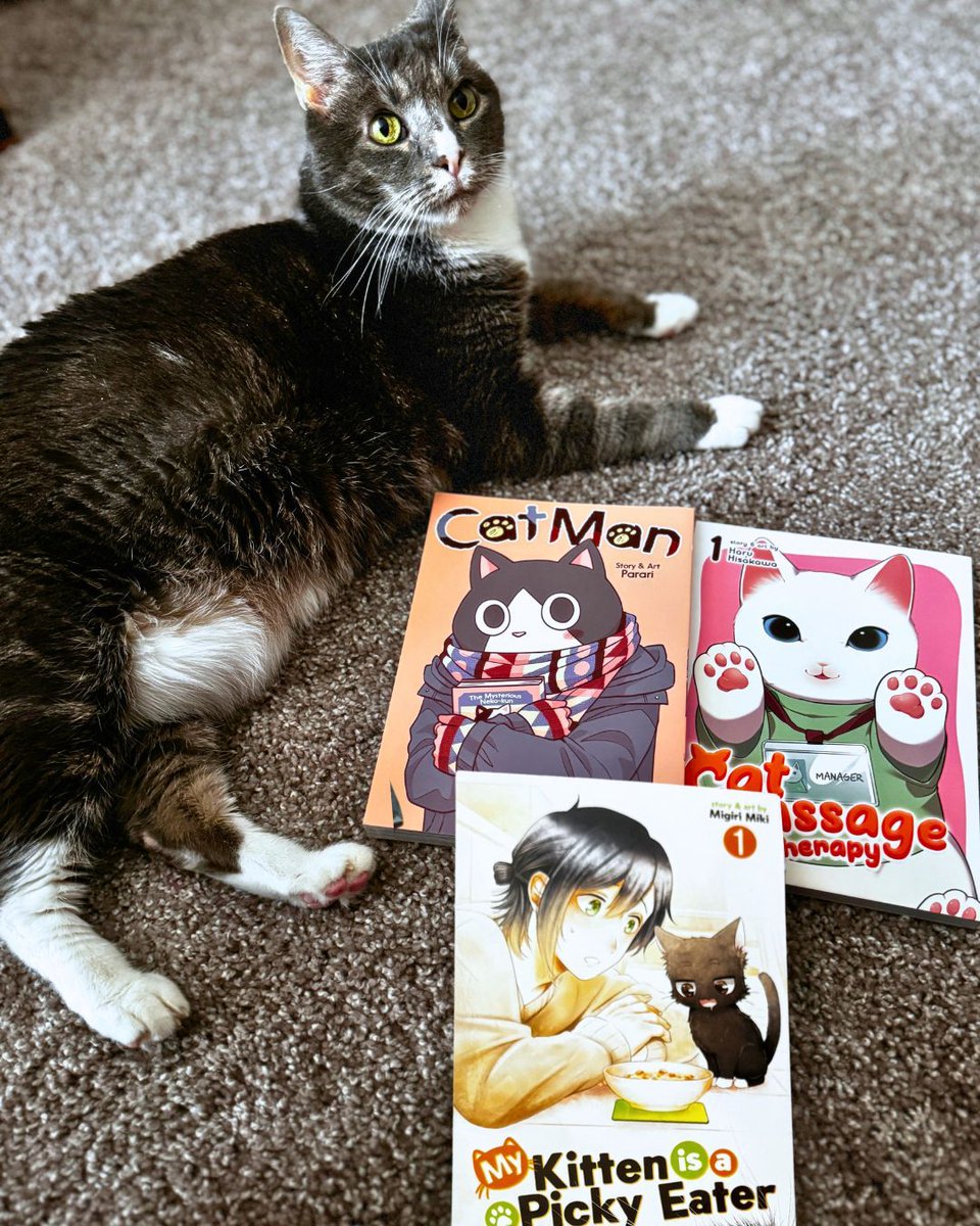 National Cat Day? 🐱 Sounds like our kind of day! 😻 Whether you're looking for cuddly companions, curious catgirls, or coy catboys, you're sure to find a pawsitively purrfect series to feed your feline fix: sevenseasentertainment.com/tag/cats/