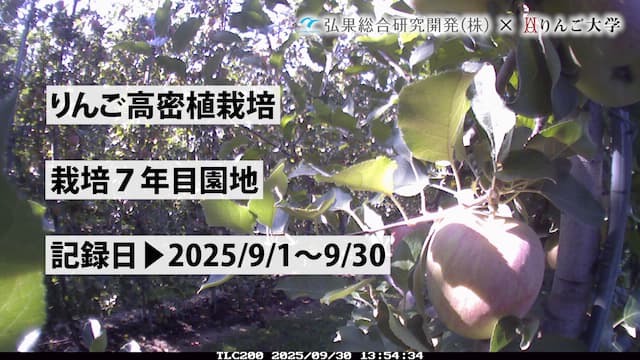 りんご大学 on X