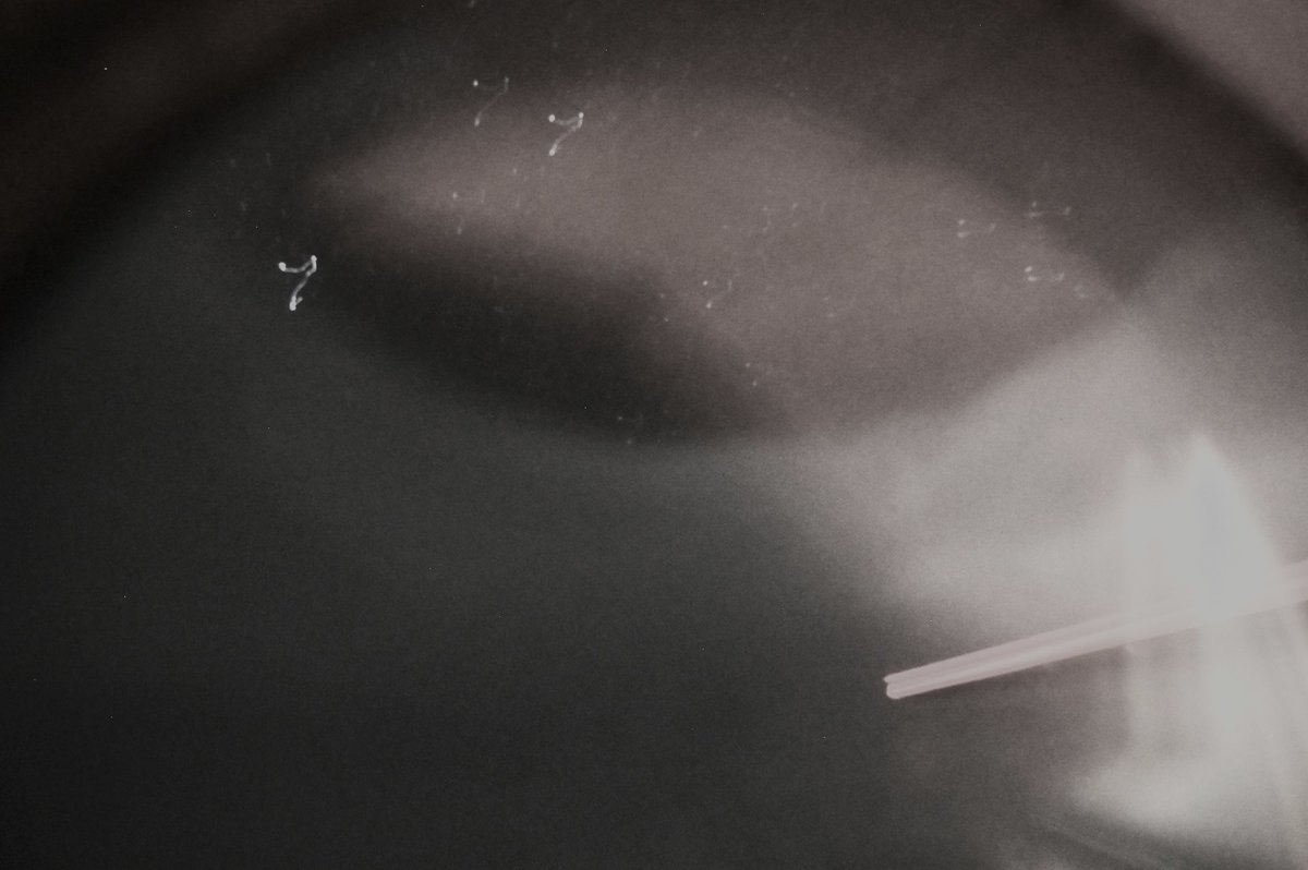 I wish there as a better way to shoot in the dark from a plane at 10,000 feet with no lightning, but alas...

Yet this moment was incredible.

That's Melissa's eyewall. The eye was a PERFECT circle. I've never seen anything like it. It was like being in a soup can and looking up.