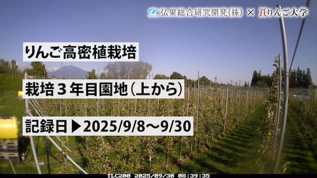 りんご大学 on X