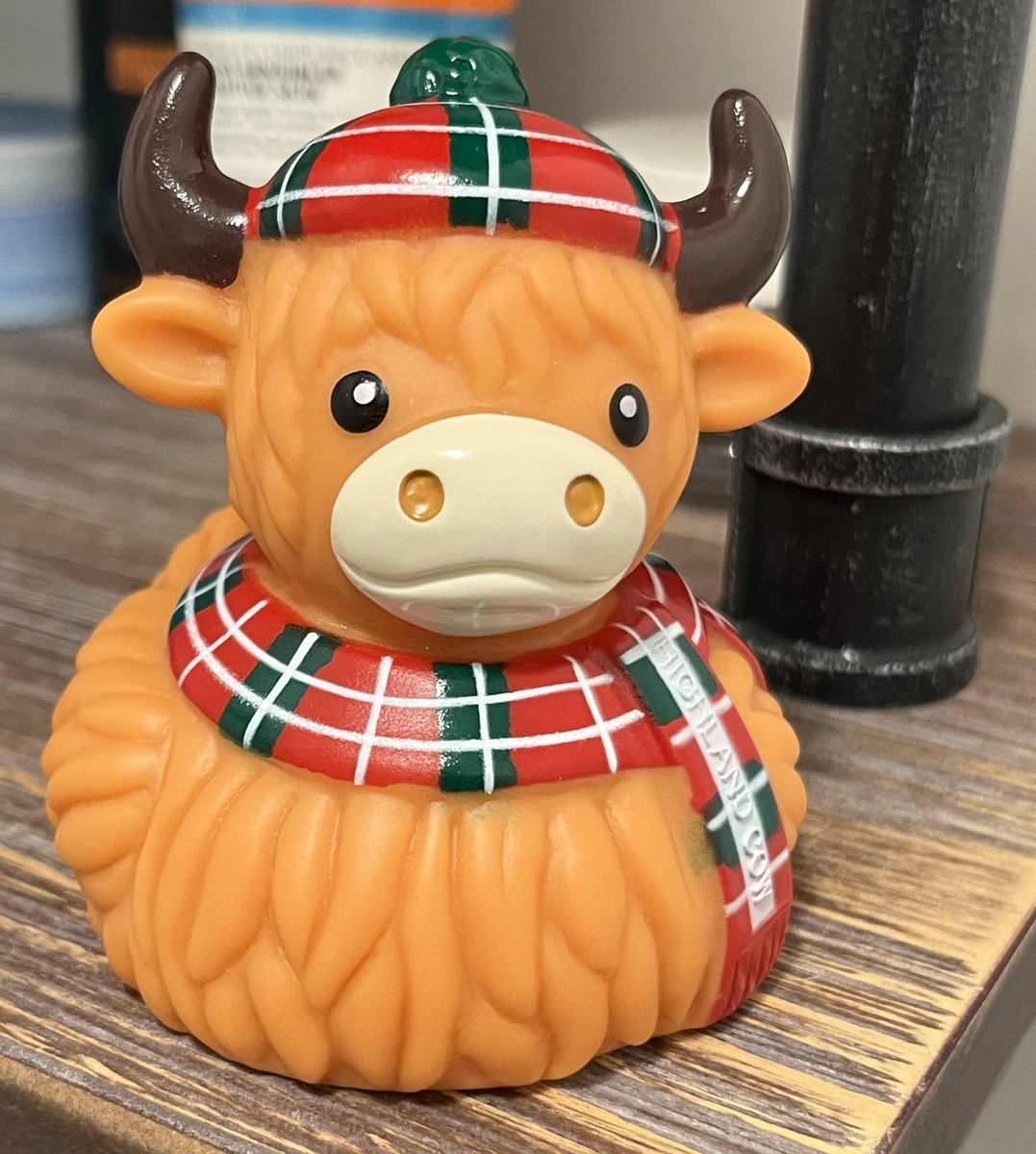 CTVLegacyTech's tweet image. Saw “Hello” to my bonnie wee friend. Sometimes the funniest little gifts are the best. 🏴󠁧󠁢󠁳󠁣󠁴󠁿❤️ #LookCoos #HighlandCow #Scotland #DirectFromHome #Smile