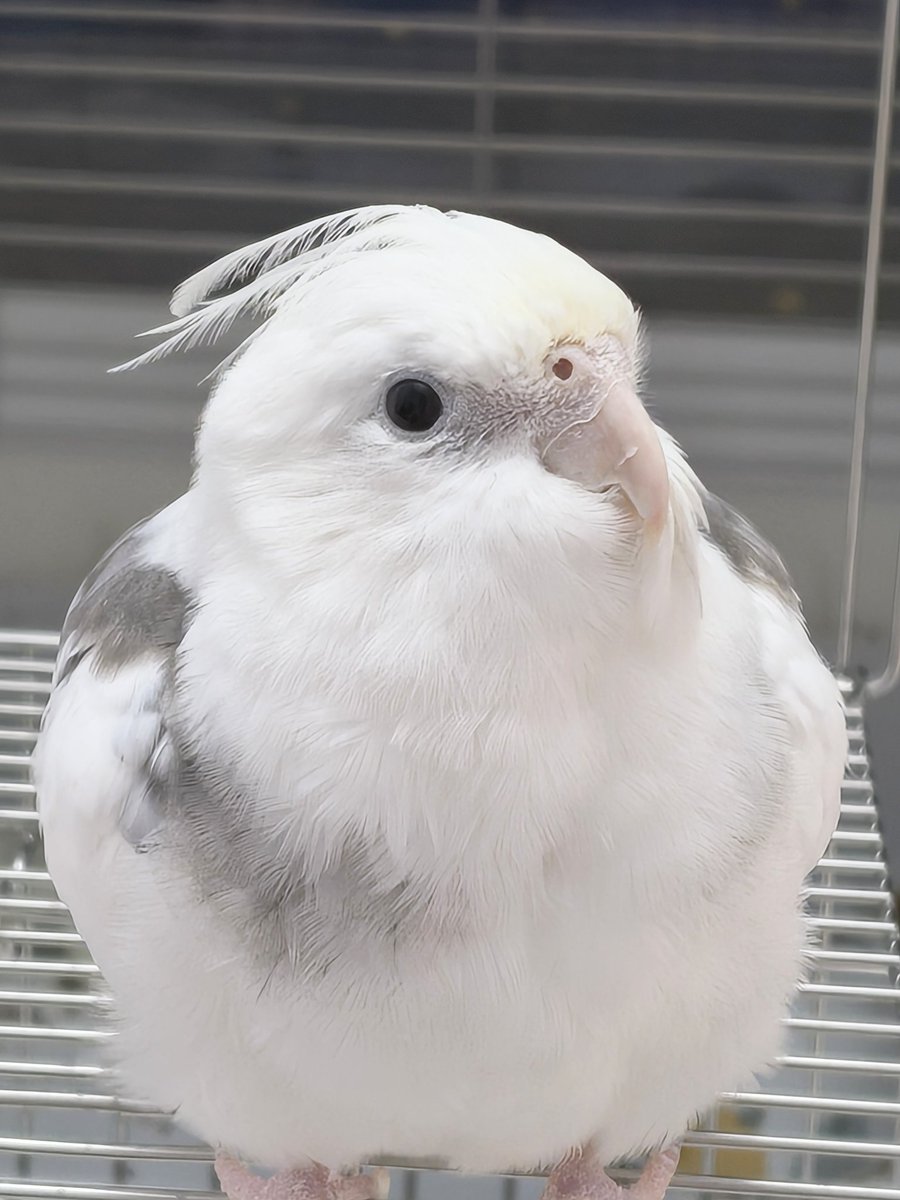 おはようございます😊ピリッと冷たい空気ですが晴れた秋空が嬉しいです😄🌞週末が1歩ずつ近づいてきました😌無理なく程々に頑張って下さいね(o´∀`)b今日も宜しくお願いします🤗🍁🍄🦜💕