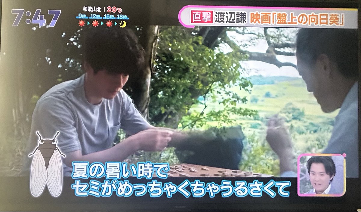 坂口と2人で
外で将棋を指すシーンの暑い時
セミがめっちゃくちゃうるさくて
延々にミンミン鳴って諦めた

「全部アフレコや！いいシーンやし」

録音部「すみません！ちょっと✈️待たしてください」

アフレコなのに✈️待つんかい！
スタッフみんな大爆笑😆
#映画盤上の向日葵 
#坂口健太郎 #渡辺謙