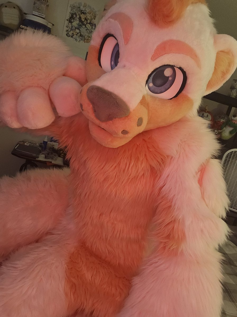 Plz give me all your peach rings, I'm doing my best to look cute! 
#furry #fursuit