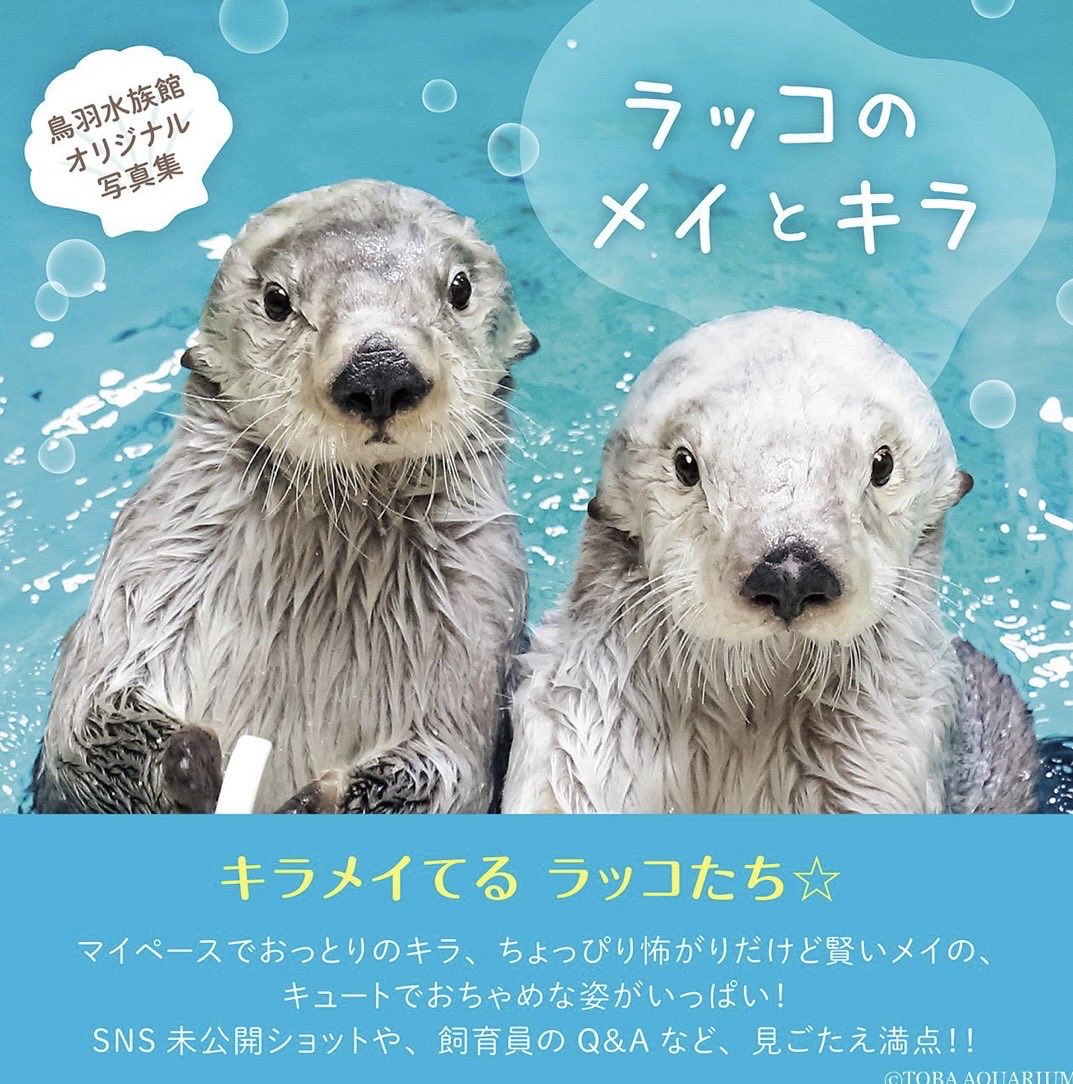 Enjoy_life_north (@EnjoyNorth) / Posts / X