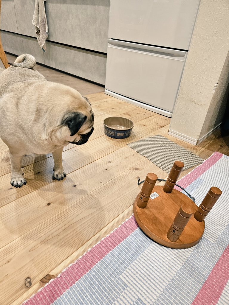 パグ様 On Top Hug Logo Tee。アニマルシリーズ。 自動生成AIから生まれ