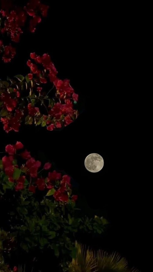 الــــــحب في الله
 سفينة مبحرة في نهر الإخاء
 مرساها عند أبواب الجنة ..
        يقول ابن القيم : 
(إذا تقاربت القلوب فلا يضر تباعد الأبدان) 
والطيبون أمثالكم كالجواهر المصونة
 لا نراها دائما ولكن نعلم أنها محفوظة في صناديق القلوب "