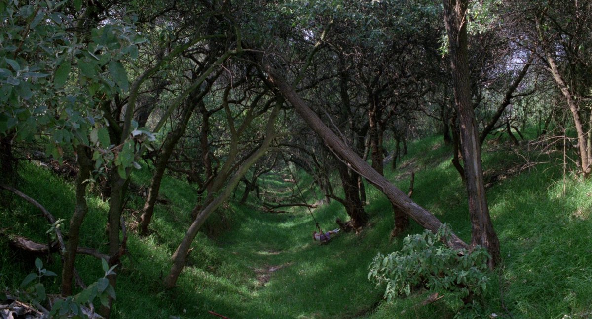 inforealmexico's tweet photo. Veneno para las hadas (1986) de Carlos Enrique Taboada. https://t.co/C8SRAvC07L

Blu-ray 1080p (11.8 GB).
Con subtítulos opcionales en inglés. https://t.co/HkB6e7T1rE