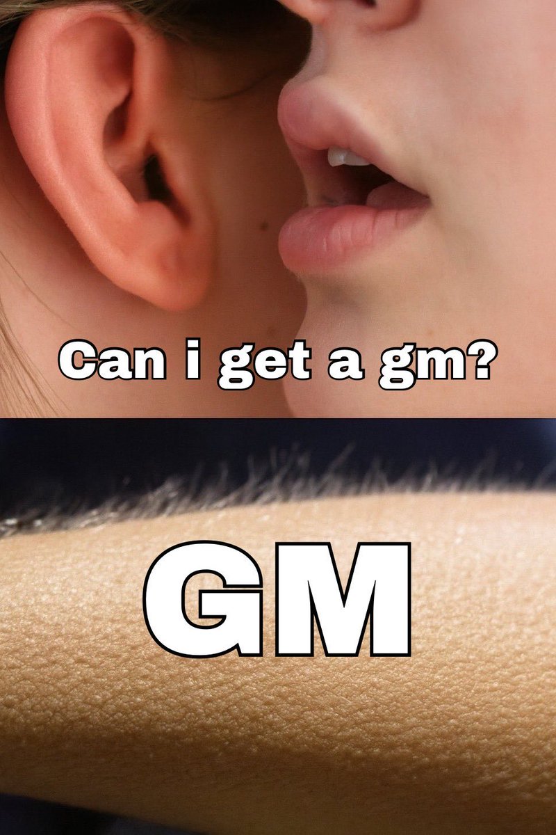 GM CT

Can I get a gm back? 

usual topics of the day Gon be brevis, Fogo and Irys