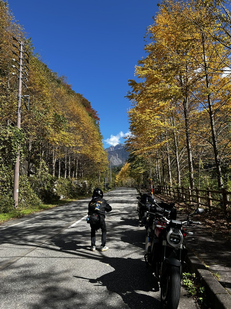 北アルプス大橋、行って来ました‼️
天気も良く、最高の景色を堪能しましたよ〜♪😆
ここは昨年初めて訪れましたが、毎年来たくなるスポットですね✨
紅葉も進んでました🍁
気を付けて帰ります。