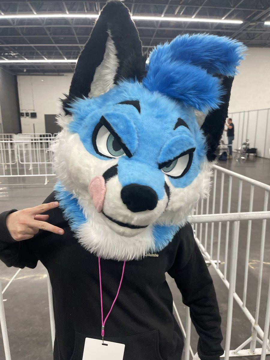 I barely post here, buuuut, last week I received my furhead :3. I remember dreaming of this moment 5 years ago.

Had a great time at Confuror. PCD is kicking hard too.

#furry #fursuit