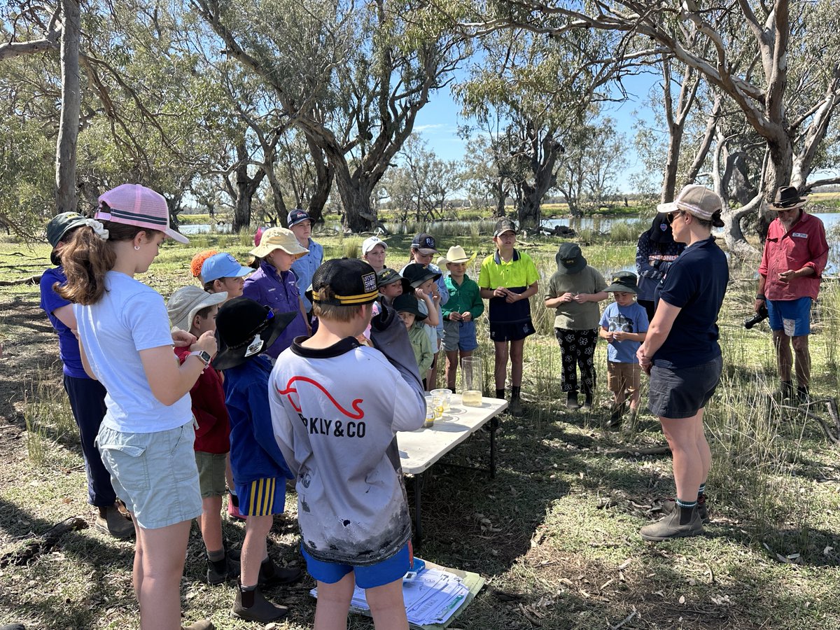 theCEWH's tweet photo. Why does #WaterForTheEnvironment matter? 🤔💧🌱

On a recent day of #OutdoorLearning at Wilbertroy Lagoon in the Jemalong Irrigation Area, students:

🔍 Caught and identified waterbugs.

🐟 Heard about fish and other native species.

🌐 Learned why environmental water is needed. https://t.co/ERmbxqOZOC
