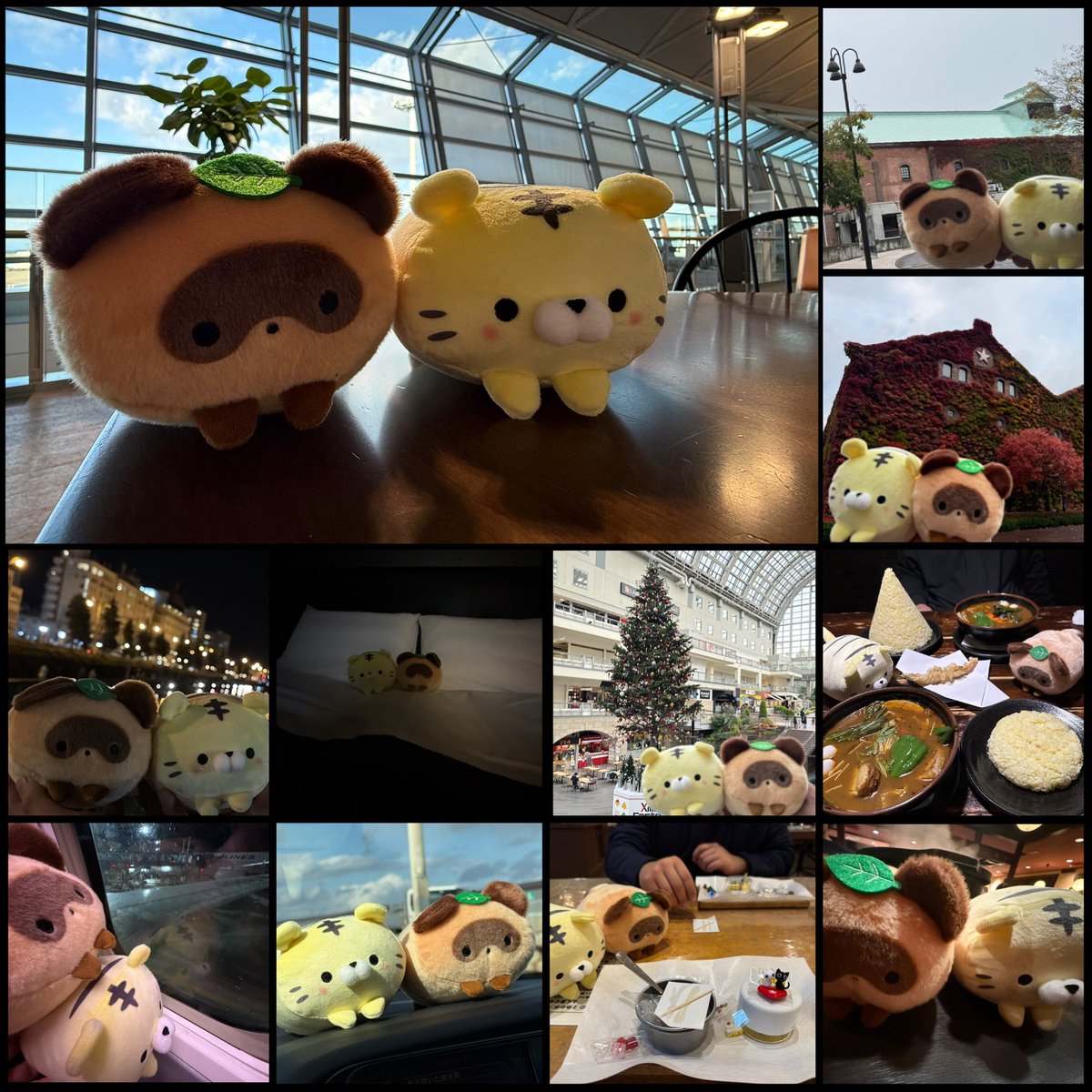 蒼羽 珠煉🌿🍎🫖 tweet media