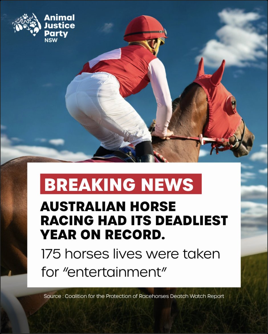 Animal Justice Party tweet media