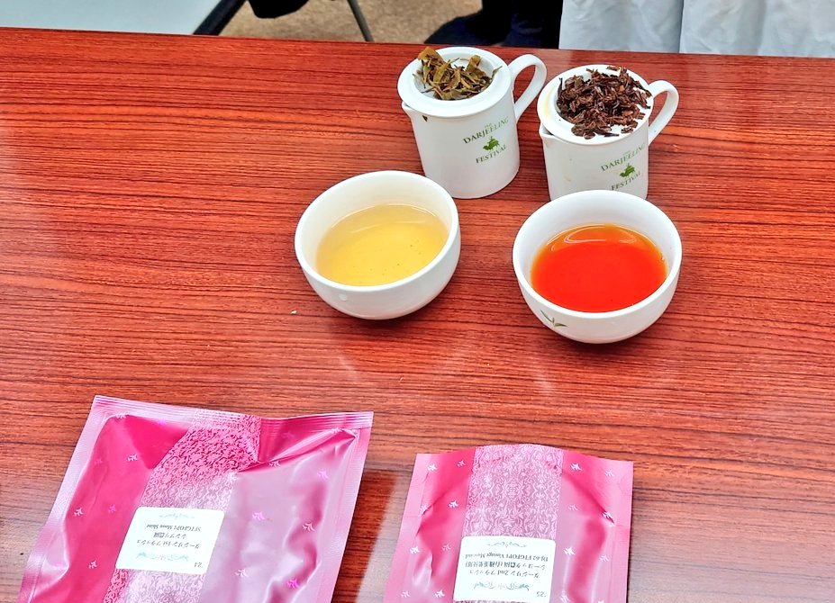 あき（ハクショウ） tweet media