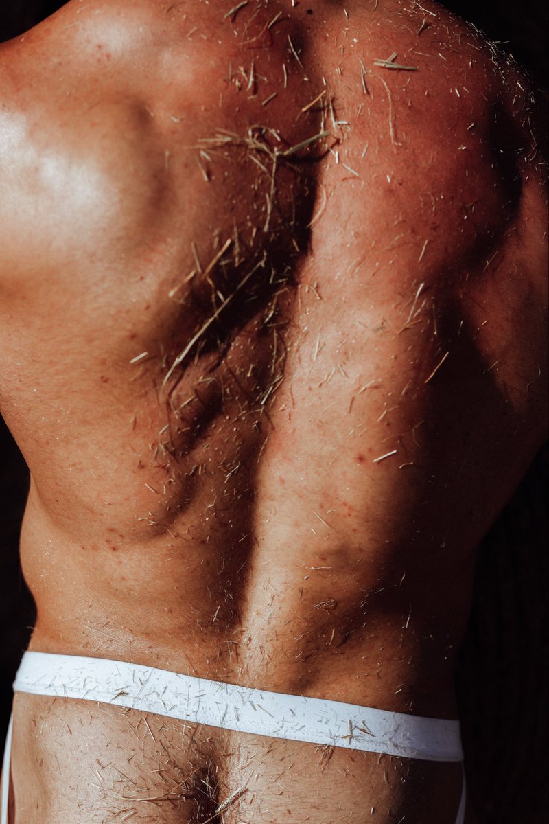 Adonis_Collective tweet media