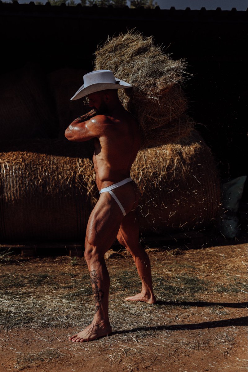 Adonis_Collective tweet media