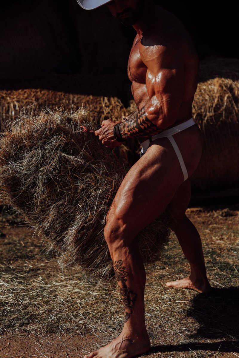 Adonis_Collective tweet media