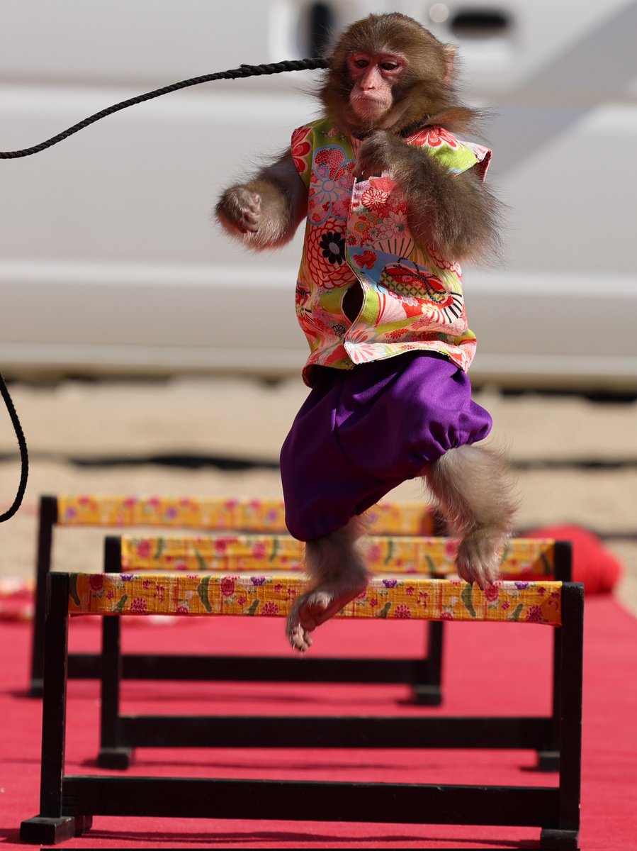 たまたまいたお客さん on X