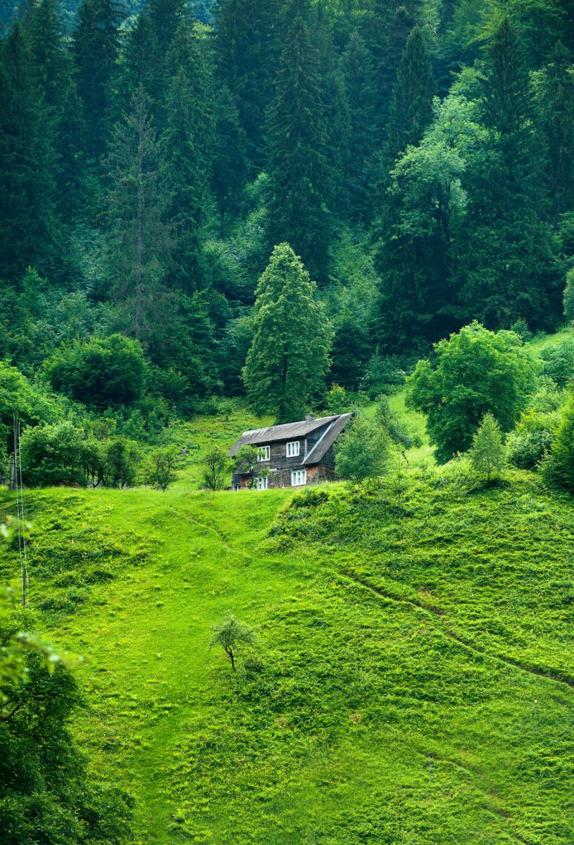 Tourism25's tweet photo. The beauty of nature touches the heart with its simple magic. 🌿✨
#Jeremy_Lin #CALL_12 #GhostPit #Randle #InsideTheNBA #Trump #nature #LibertadoresFEM #KimPau https://t.co/mCZbKngXuW
