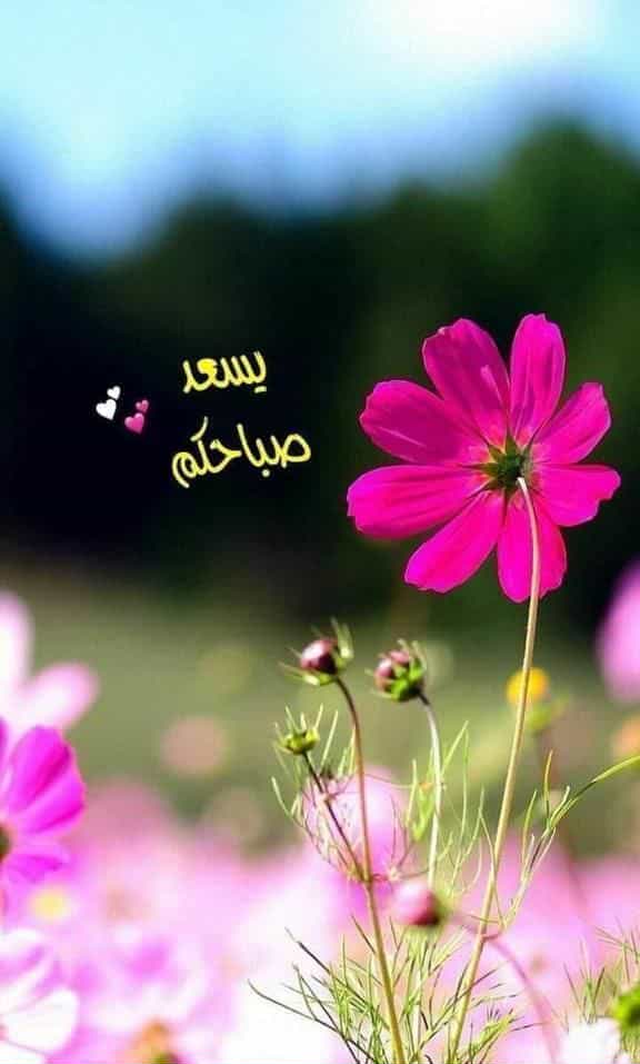slmana924's tweet photo. @slmana924 https://t.co/6YA8aYt6Sz