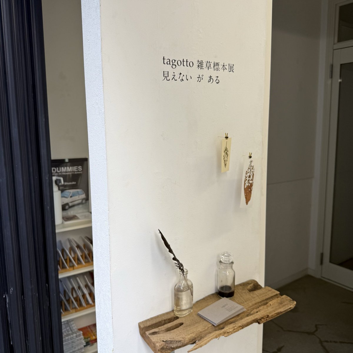 m's art gallery  植物の絵 m's art gallery 植物の絵 m's art gallery 植物の絵