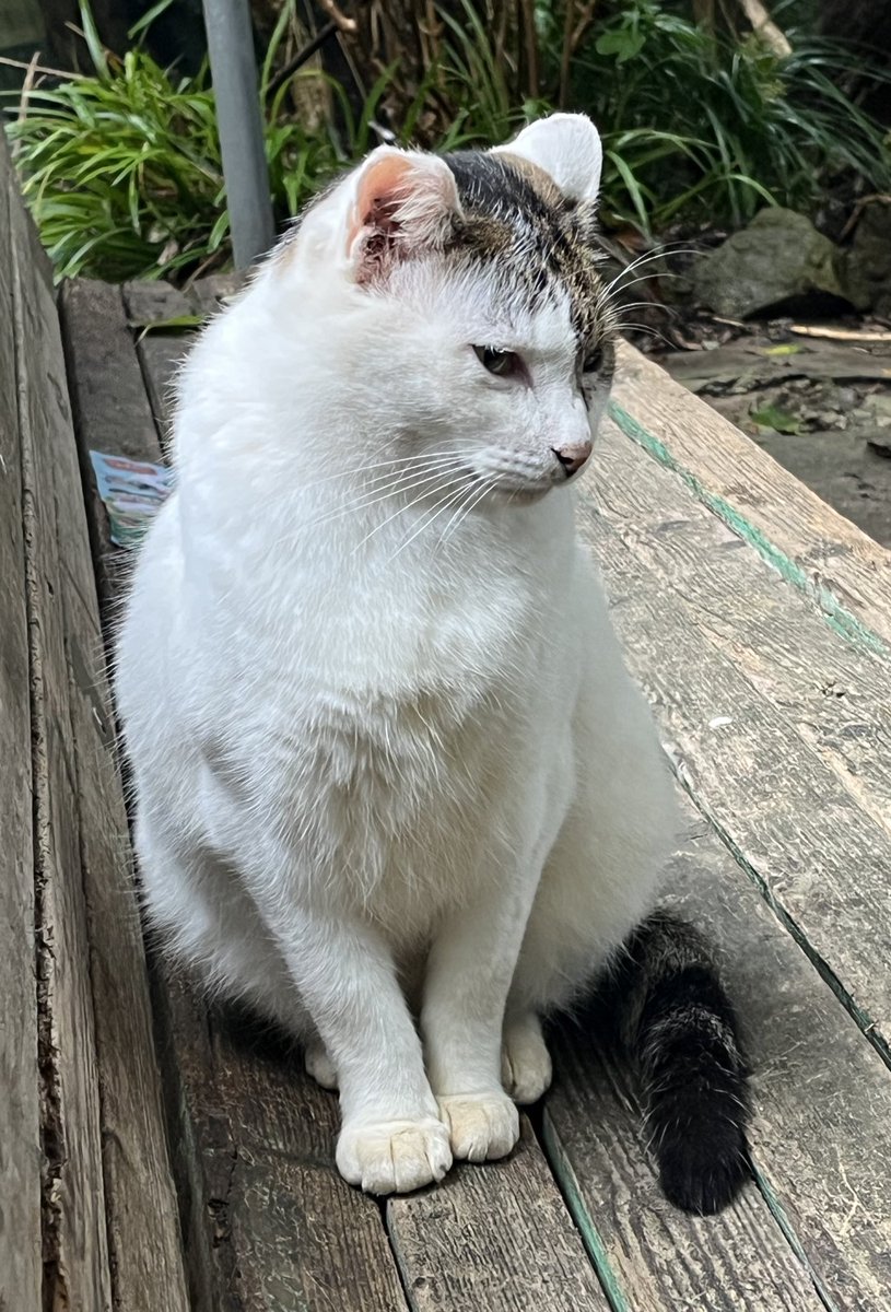 なっちゃん on X