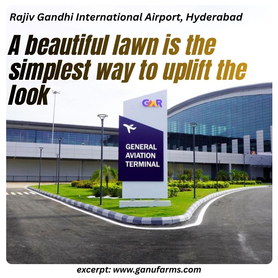 Swathi0907's tweet photo. #ganufarms #lawn #landscaping #gardening #Gardendesign https://t.co/aZl57UfizQ