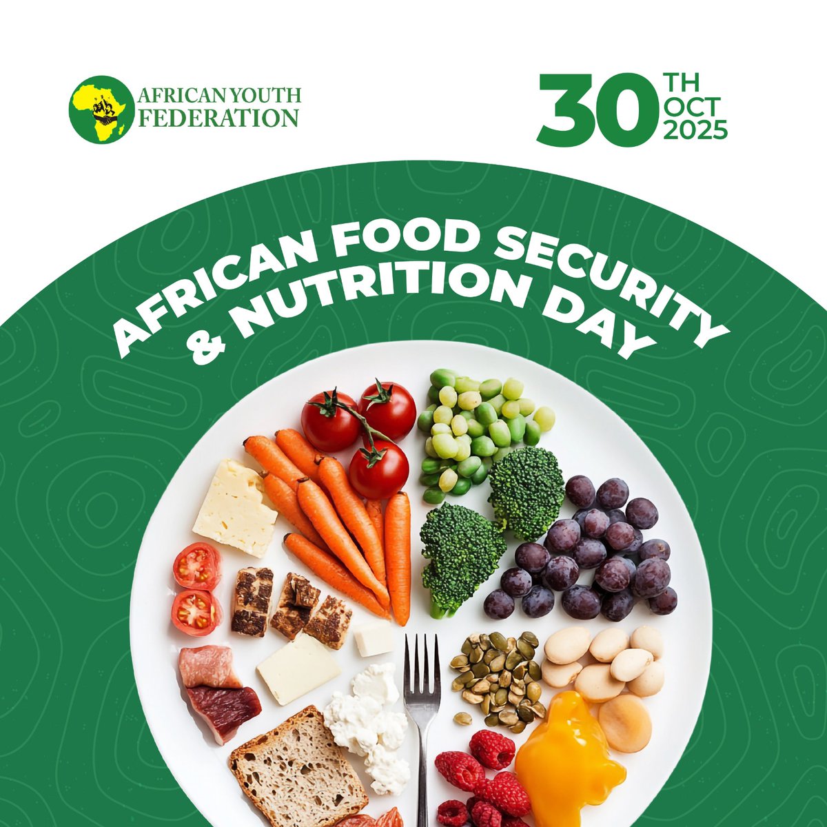 African Youth Federation tweet media