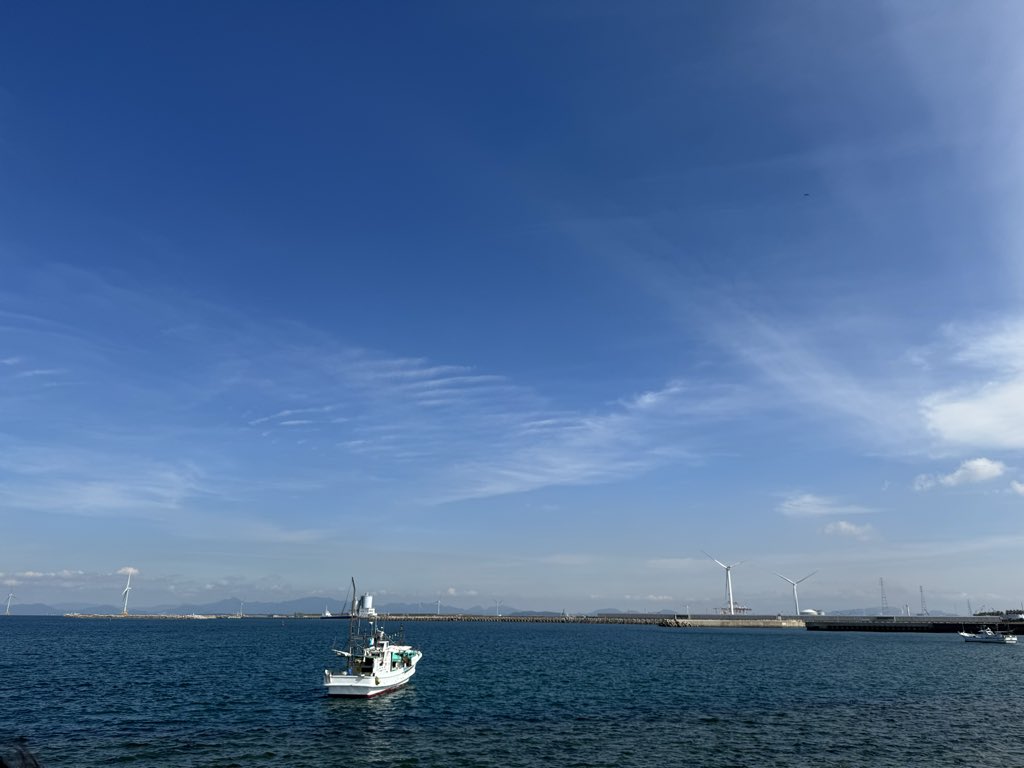 怪獣になったいくぞう🐟🧶 on X