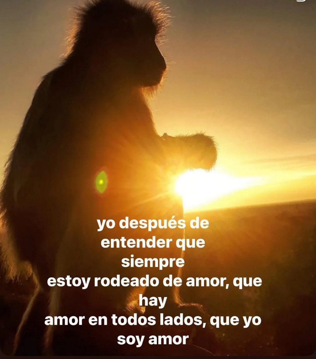 emociones amarillas (@conoloracigarro) on Twitter photo 