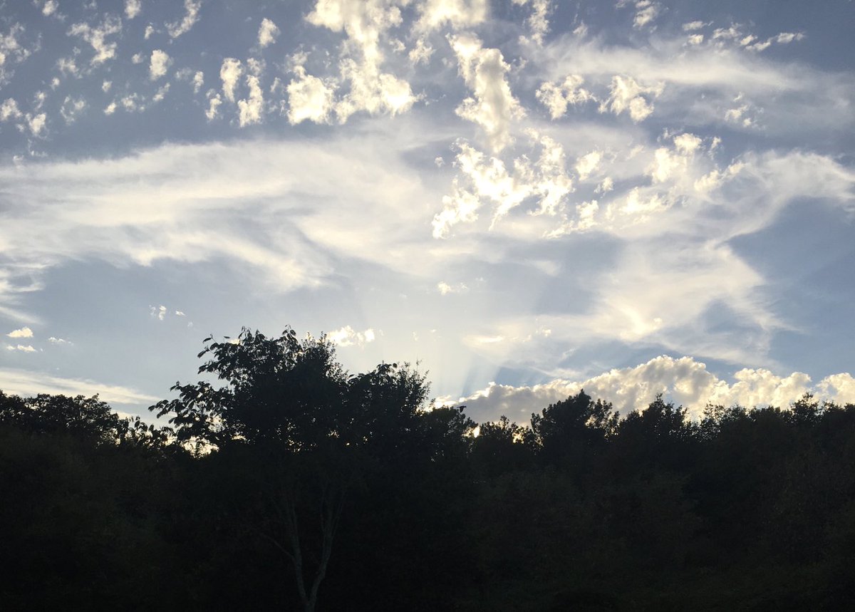Bonjour Elisabeth 👋D’après la météo il ne devrait pleuvoir que ce matin …🌧et vu la rapidité de Django pour son pissou  ça doit être vrai Bon appétit ☕️🥖🥖🥖