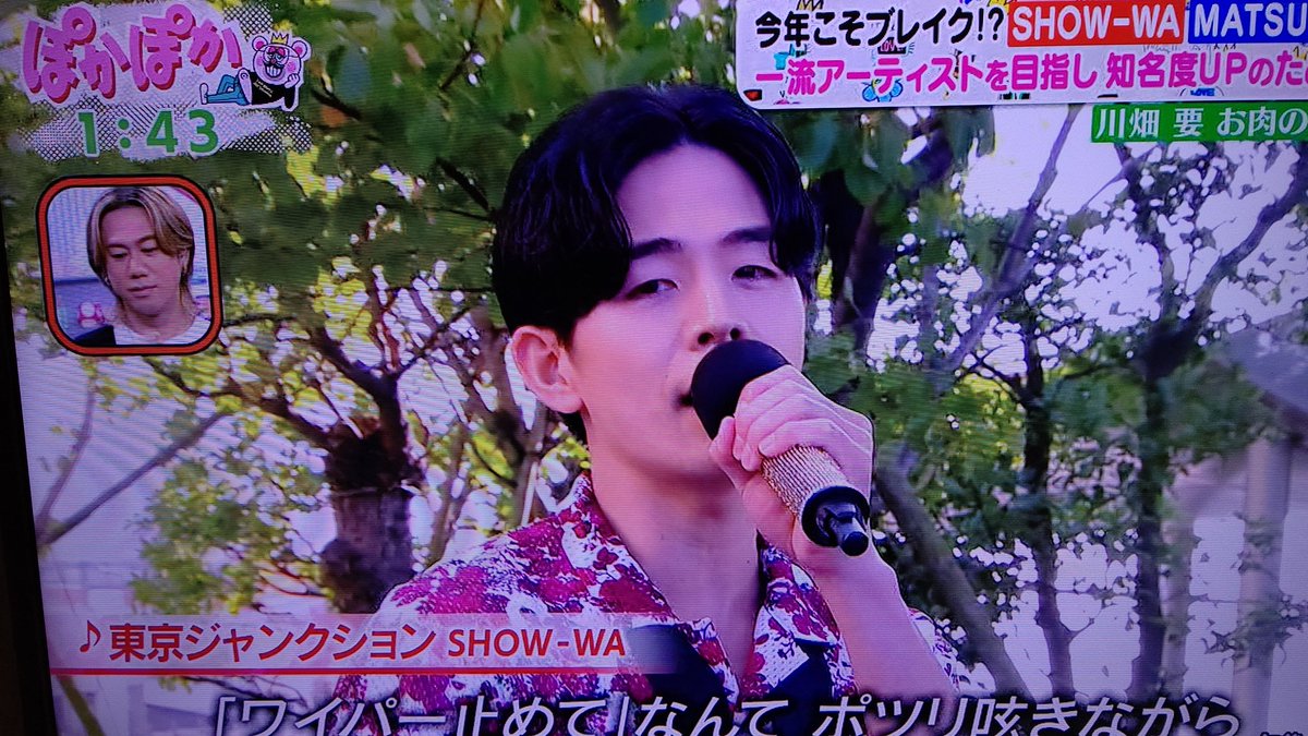 ピーちゃん様 Pちゃん（通常カラー） | STUDIO24 store