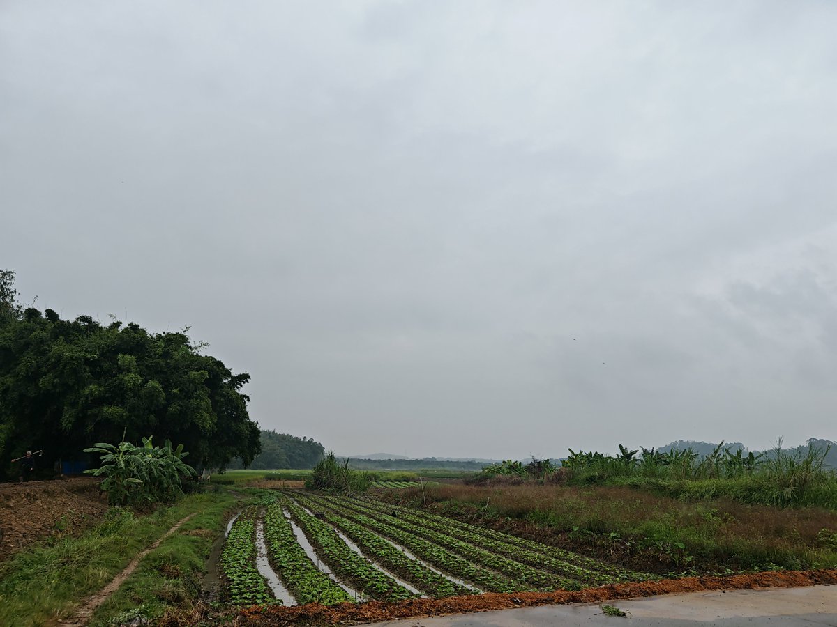 林林林(@lnlnln00036633) / Posts and Replies / X